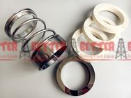 Mission Magnum Mechanical Seal Kit Tungsten Carbide Faces to Fit MCM 250 Centrifugal Pump Standard Packaging