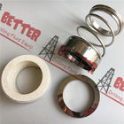 China Manufacturer Mechanical Seal Assembly for Mission/Mcm 250/178/118 22451-1, P25ms/Tt