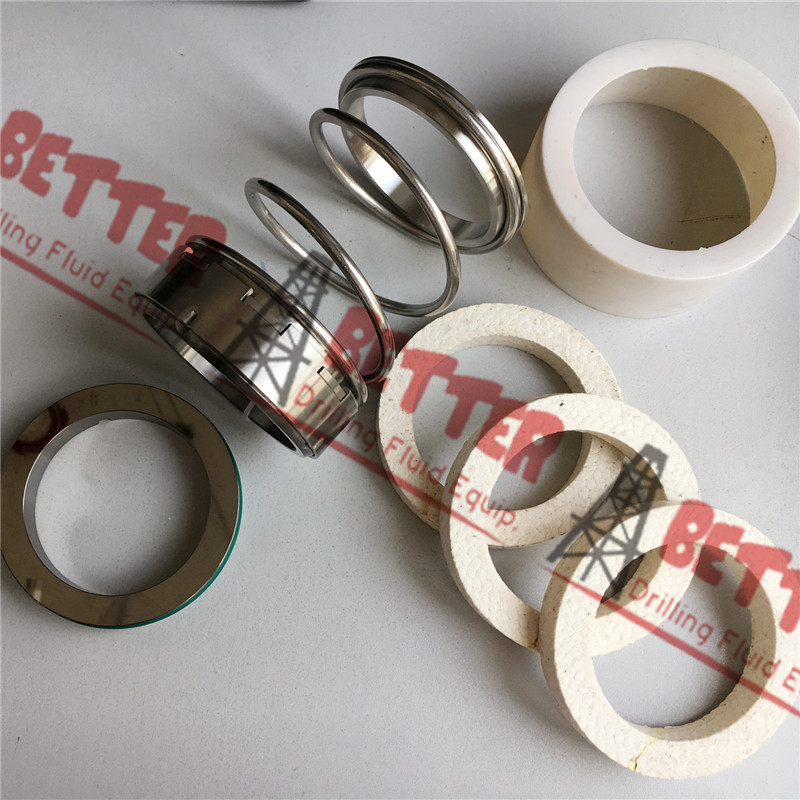 China Manufacturer Mechanical Seal Assembly for Mission/Mcm 250/178/118 22451-1, P25ms/Tt