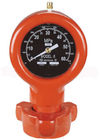 Model 8 Mud Pressure Gauge  Flanged Connection and FIG1502 union