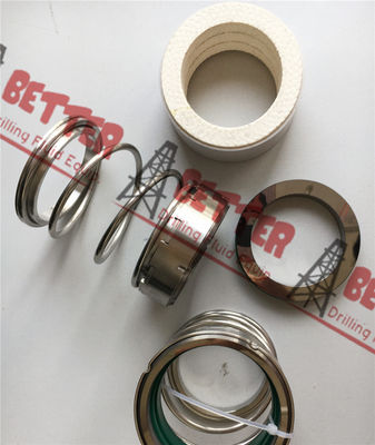China Manufacturer Mechanical Seal Assembly for Mission/Mcm 250/178/118 22451-1, P25ms/Tt